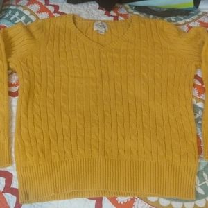 Mustard vneck seeater